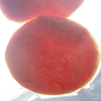 特斯特護色寶產品介紹 特斯特護色寶產品介紹