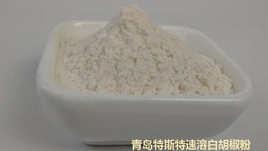 青島特斯特復合調味料新品速溶白胡椒粉簡介