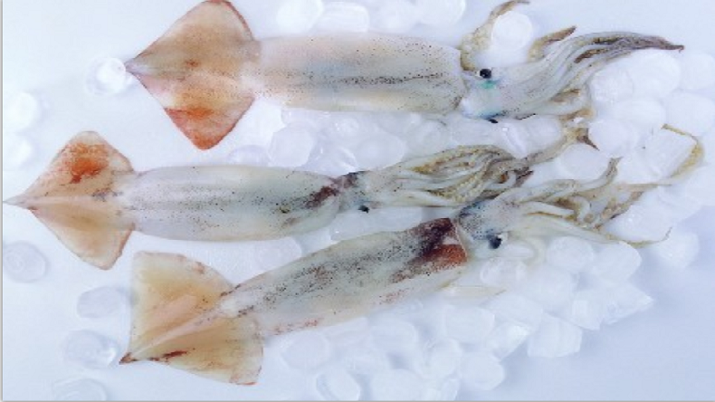 秘魯魷魚除酸劑-復配水分保持劑