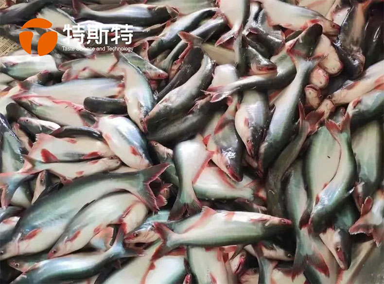 特斯特商學(xué)院 特斯特商學(xué)院