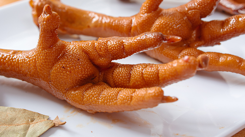 雞爪保水 雞爪保水