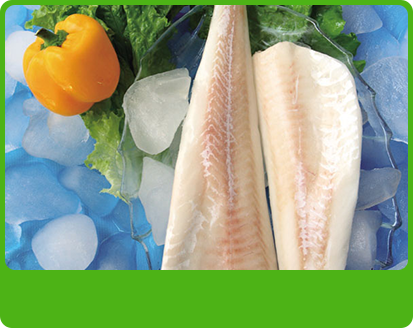 產(chǎn)品特性4 產(chǎn)品特性4