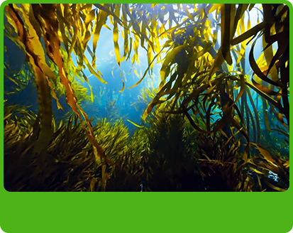 產品特性1 產品特性1