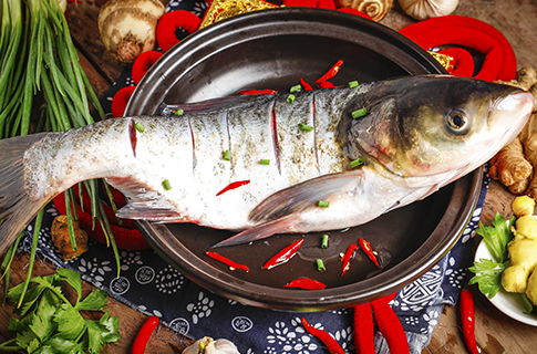 應用工藝3:腌制 應用工藝3:腌制