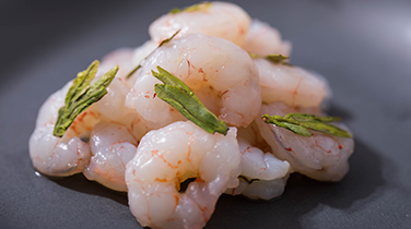 應用案例 應用案例