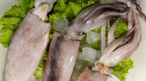 產品配方 產品配方