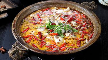 應(yīng)用案例 應(yīng)用案例